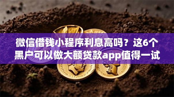 微信借钱小程序利息高吗？这6个黑户可以做大额贷款app值得一试