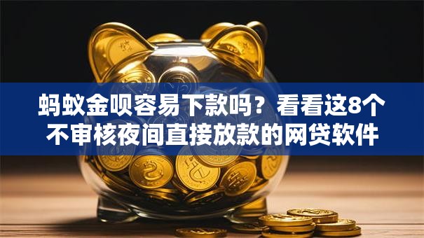 蚂蚁金呗容易下款吗？看看这8个不审核夜间直接放款的网贷软件怎么样
