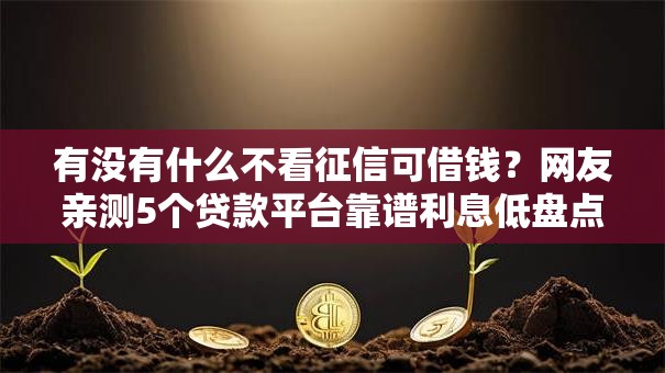 有没有什么不看征信可借钱?网友亲测5个贷款平台靠谱利息低盘点 有没有什么不看征信可借钱?网友亲测5个贷款平台靠谱利息低盘点