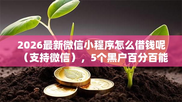 2026最新微信小程序怎么借钱呢（支持微信），5个黑户百分百能借到钱的平台无私分享