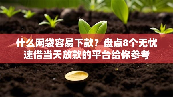 什么网袋容易下款？盘点8个无忧速借当天放款的平台给你参考