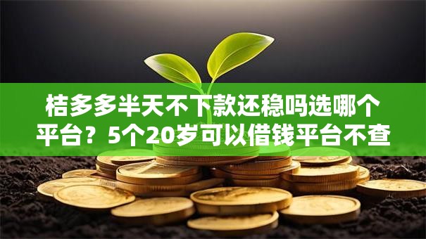 桔多多半天不下款还稳吗选哪个平台?5个20岁可以借钱平台不查征信的平台推荐 桔多多半天不下款还稳吗选哪个平台?5个20岁可以借钱平台不查征信的平台推荐