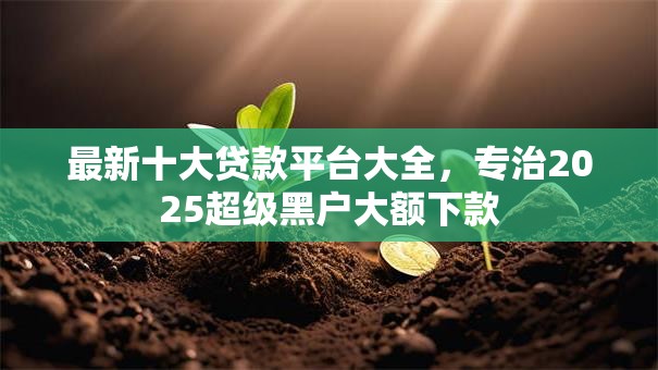 最新十大贷款平台大全,专治2025超级黑户大额下款 最新十大贷款平台大全,专治2025超级黑户大额下款
