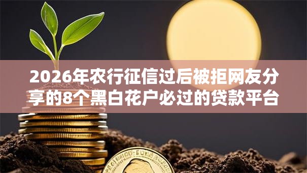 2026年农行征信过后被拒网友分享的8个黑白花户必过的贷款平台我觉得不错! 2026年农行征信过后被拒网友分享的8个黑白花户必过的贷款平台我觉得不错!