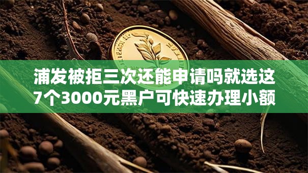 浦发被拒三次还能申请吗就选这7个3000元黑户可快速办理小额贷款业务的软件 浦发被拒三次还能申请吗就选这7个3000元黑户可快速办理小额贷款业务的软件