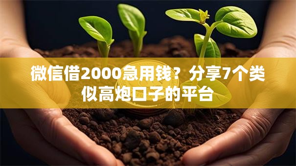 微信借2000急用钱？分享7个类似高炮口子的平台