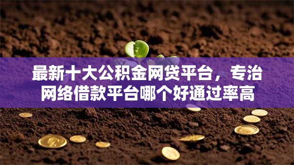 最新十大公积金网贷平台，专治网络借款平台哪个好通过率高