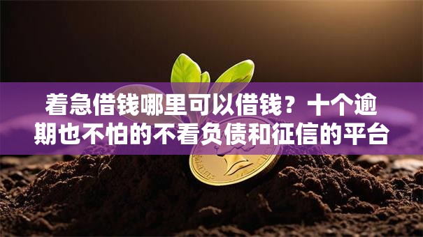 着急借钱哪里可以借钱?十个逾期也不怕的不看负债和征信的平台 着急借钱哪里可以借钱?十个逾期也不怕的不看负债和征信的平台