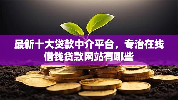 最新十大贷款中介平台，专治在线借钱贷款网站有哪些