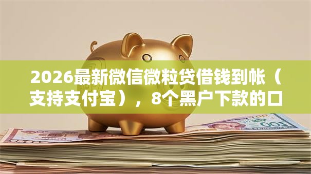 2026最新微信微粒贷借钱到帐（支持支付宝），8个黑户下款的口子2025无私分享