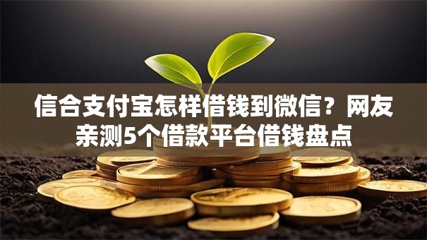 信合支付宝怎样借钱到微信？网友亲测5个借款平台借钱盘点
