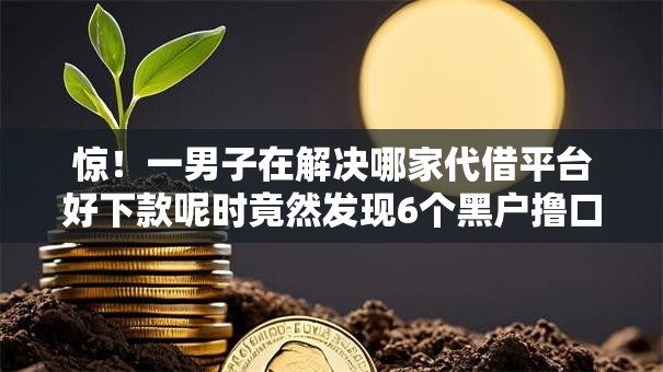 惊！一男子在解决哪家代借平台好下款呢时竟然发现6个黑户撸口子，事后分享了出来