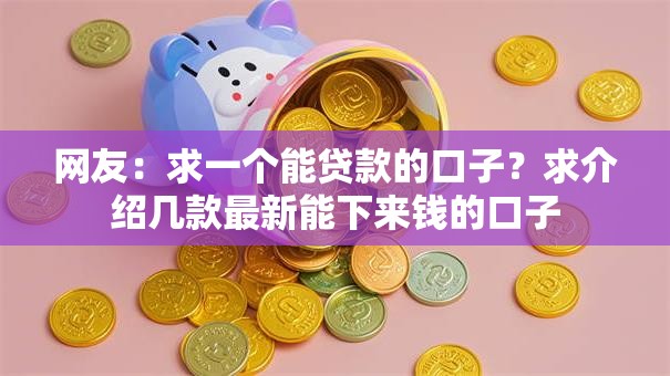 网友：求一个能贷款的口子？求介绍几款最新能下来钱的口子