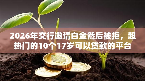 2026年交行邀请白金然后被拒,超热门的10个17岁可以贷款的平台推荐 2026年交行邀请白金然后被拒,超热门的10个17岁可以贷款的平台推荐