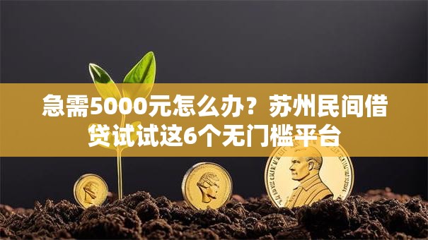 急需5000元怎么办?苏州民间借贷试试这6个无门槛平台 急需5000元怎么办?苏州民间借贷试试这6个无门槛平台