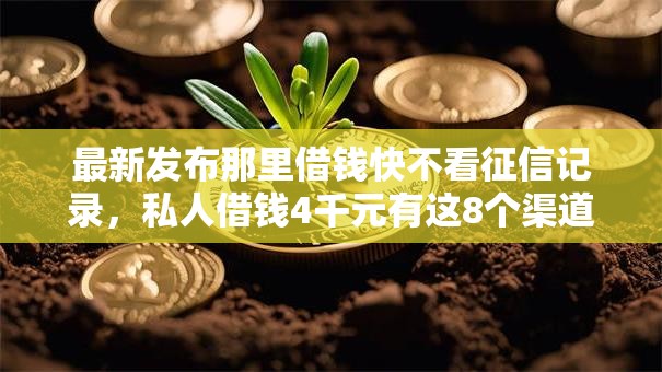 最新发布那里借钱快不看征信记录，私人借钱4千元有这8个渠道