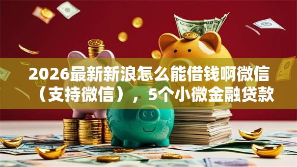 2026最新新浪怎么能借钱啊微信（支持微信），5个小微金融贷款平台无私分享