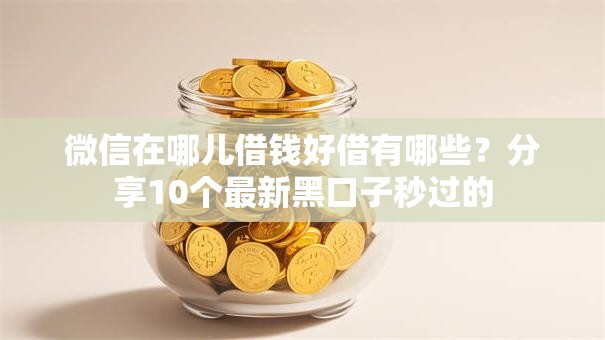 微信在哪儿借钱好借有哪些？分享10个最新黑口子秒过的