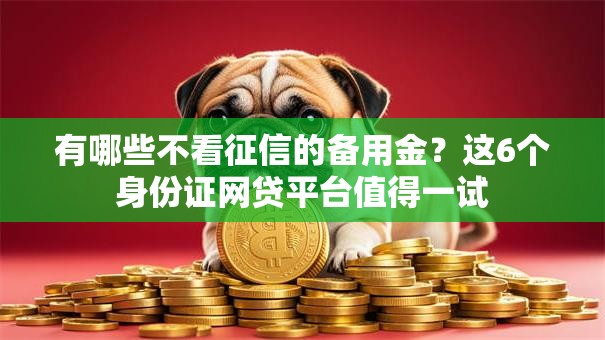 有哪些不看征信的备用金？这6个身份证网贷平台值得一试