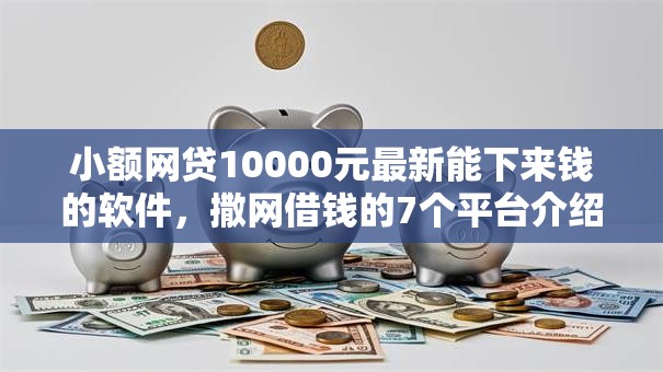 小额网贷10000元最新能下来钱的软件，撒网借钱的7个平台介绍