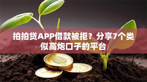 拍拍贷APP借款被拒?分享7个类似高炮口子的平台 拍拍贷APP借款被拒?分享7个类似高炮口子的平台