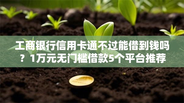 工商银行信用卡通不过能借到钱吗？1万元无门槛借款5个平台推荐