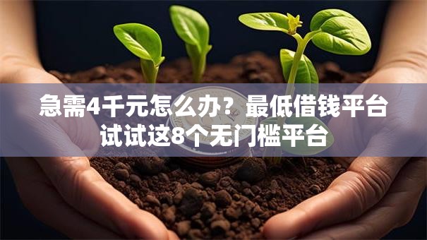 急需4千元怎么办？最低借钱平台试试这8个无门槛平台