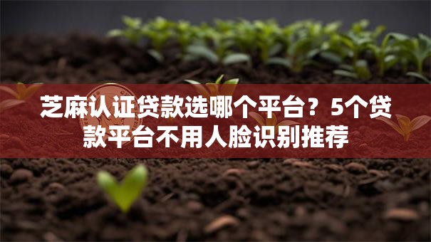 芝麻认证贷款选哪个平台？5个贷款平台不用人脸识别推荐