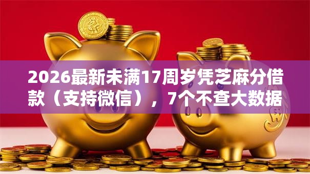 2026最新未满17周岁凭芝麻分借款（支持微信），7个不查大数据的网贷口子无私分享