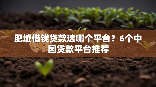 肥城借钱贷款选哪个平台？6个中国贷款平台推荐