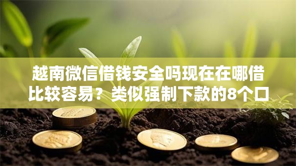 越南微信借钱安全吗现在在哪借比较容易？类似强制下款的8个口子参考