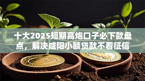 十大2025短期高炮口子必下款盘点，解决咸阳小额贷款不看征信的问题