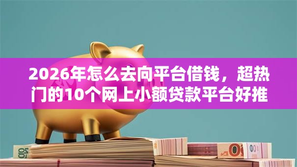 2026年怎么去向平台借钱，超热门的10个网上小额贷款平台好推荐