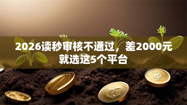 2026读秒审核不通过,差2000元就选这5个平台 2026读秒审核不通过,差2000元就选这5个平台