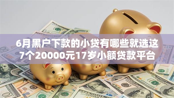 6月黑户下款的小贷有哪些就选这7个20000元17岁小额贷款平台