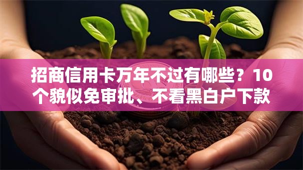 招商信用卡万年不过有哪些？10个貌似免审批、不看黑白户下款的网贷合集