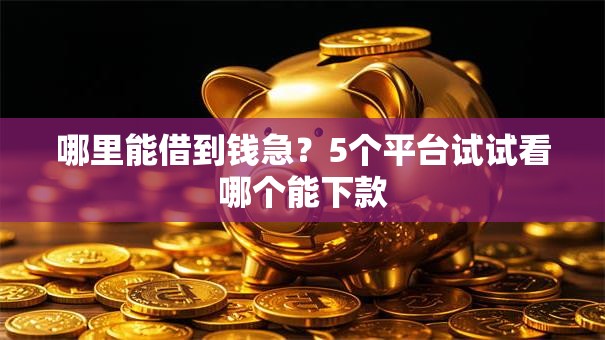 哪里能借到钱急？5个平台试试看哪个能下款