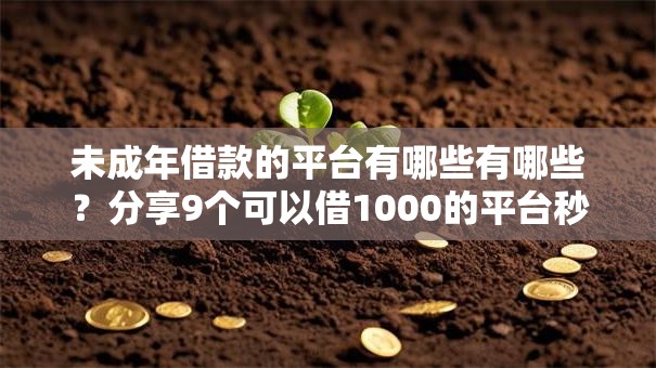 未成年借款的平台有哪些有哪些？分享9个可以借1000的平台秒下款