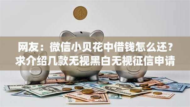 网友:微信小贝花中借钱怎么还?求介绍几款无视黑白无视征信申请就下款的app 网友:微信小贝花中借钱怎么还?求介绍几款无视黑白无视征信申请就下款的app