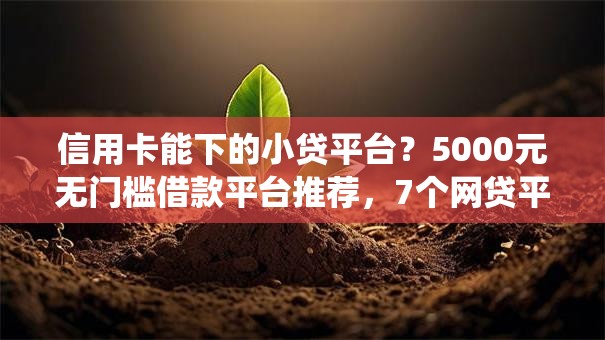 信用卡能下的小贷平台？5000元无门槛借款平台推荐，7个网贷平台查询系统盘点