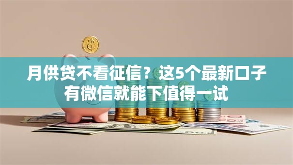 月供贷不看征信？这5个最新口子有微信就能下值得一试