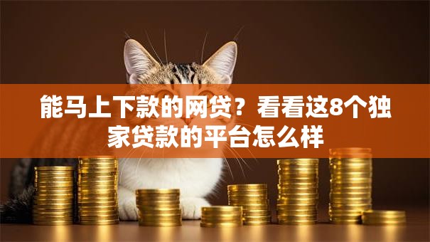 能马上下款的网贷?看看这8个独家贷款的平台怎么样 能马上下款的网贷?看看这8个独家贷款的平台怎么样