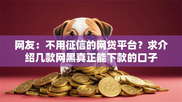 网友：不用征信的网贷平台？求介绍几款网黑真正能下款的口子