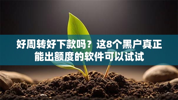 好周转好下款吗?这8个黑户真正能出额度的软件可以试试 好周转好下款吗?这8个黑户真正能出额度的软件可以试试