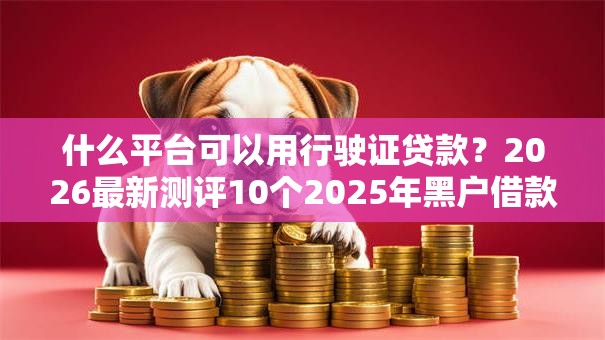 什么平台可以用行驶证贷款?2026最新测评10个2025年黑户借款必下口子 什么平台可以用行驶证贷款?2026最新测评10个2025年黑户借款必下口子