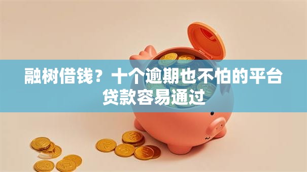 融树借钱?十个逾期也不怕的平台贷款容易通过 融树借钱?十个逾期也不怕的平台贷款容易通过