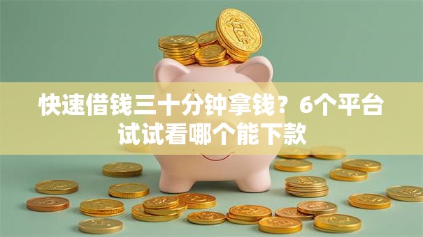 快速借钱三十分钟拿钱？6个平台试试看哪个能下款