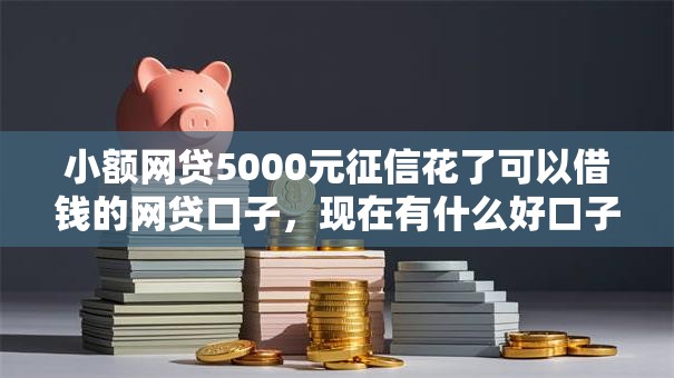 小额网贷5000元征信花了可以借钱的网贷口子,现在有什么好口子下款的的5个平台介绍 小额网贷5000元征信花了可以借钱的网贷口子,现在有什么好口子下款的的5个平台介绍