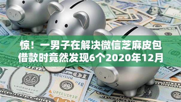 惊！一男子在解决微信芝麻皮包借款时竟然发现6个2020年12月容易下款的口子，事后分享了出来