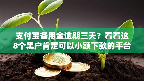 支付宝备用金逾期三天？看看这8个黑户肯定可以小额下款的平台怎么样